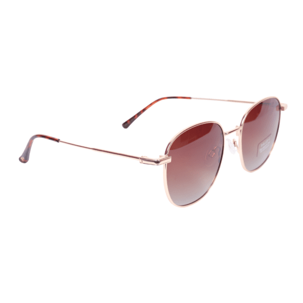Brown Round Polarized Sunglasses PA49 C1 Page 4