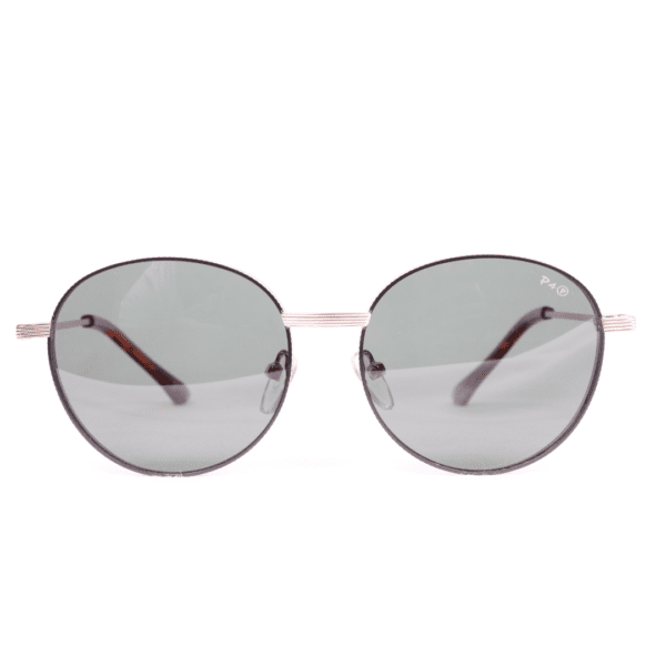 Matte Black Round Polarized Sunglasses PA83 C2 Page 4