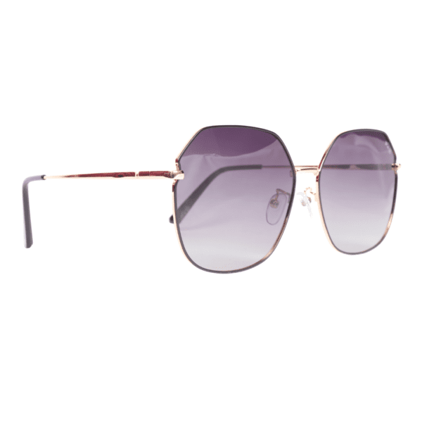 Gold Square Polarized Sunglasses PA91 C3 Page 4