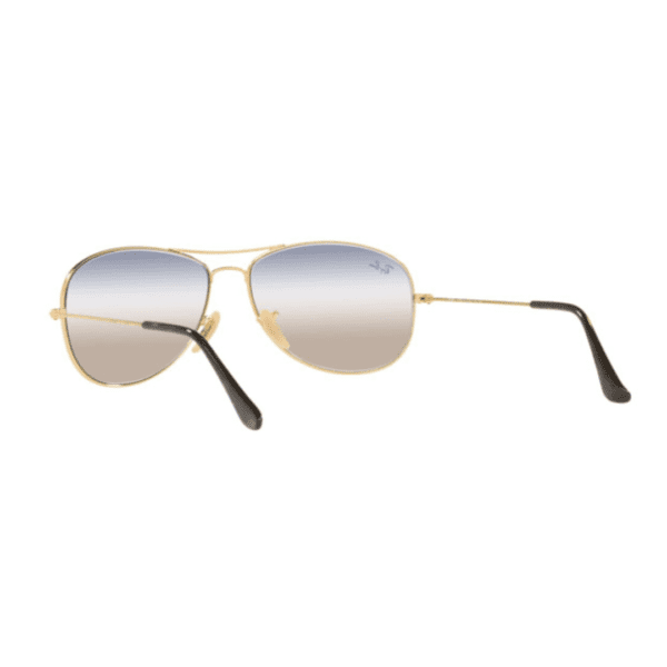Gold Cockpit Sunglasses RB3362 Ray Ban
