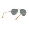 Blue Polarized Aviator Sunglasses RB3689 Ray Ban